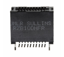 RZB10DHFR Image.