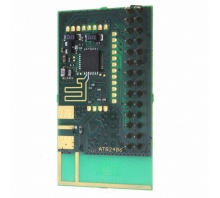 ATR2406-DEV-BOARD Image.